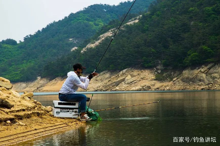 野钓水库选择钓位有绝招,用几把鱼竿就可以找到最出鱼的黄金钓位