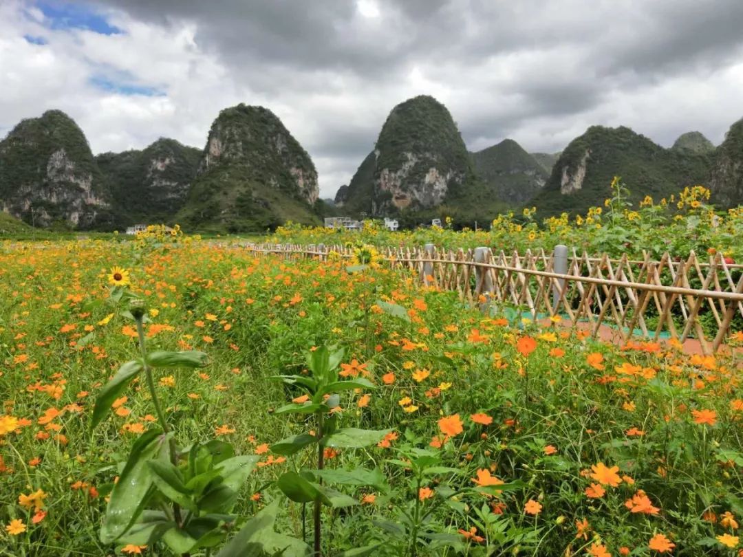 靖西这地方百花争艳,亲们约吗?