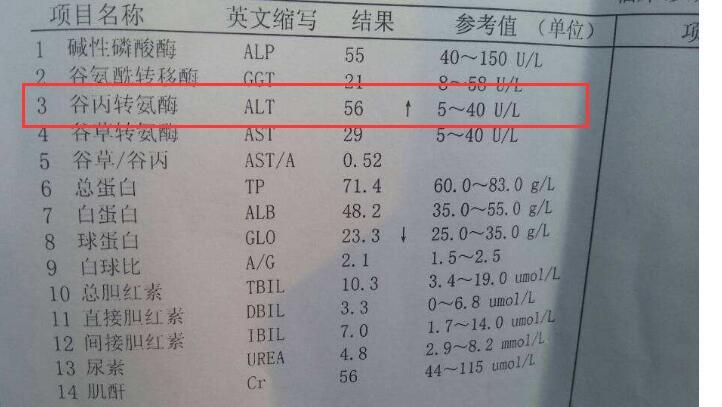 转氨酶高于50,说明肝脏已透支,2个方法修复