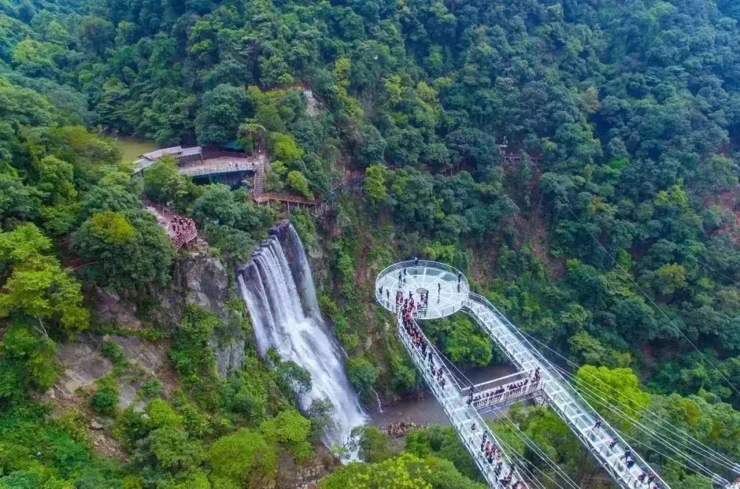 问·旅务│全国八大刺激玻璃栈道,让人瞬间怂成狗!江阴人你敢玩吗?