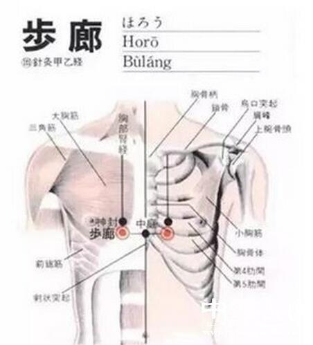 步廊穴准确位置图和作用