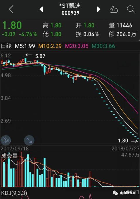 位于汤逊湖大桥旁的凯迪怎么了股票已经20个跌停