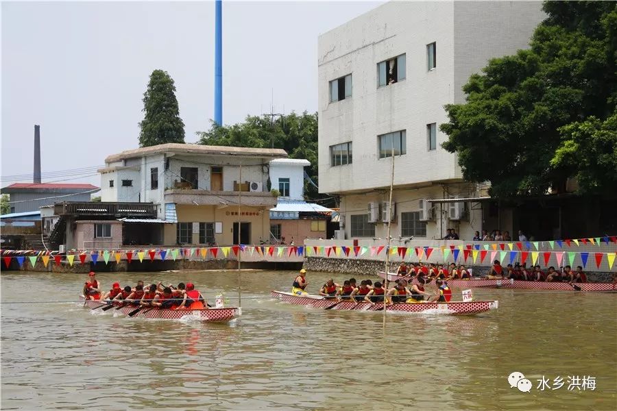 热闹非凡的黎洲角龙艇比赛 洪梅的各位街坊 错过了的街坊不用着急