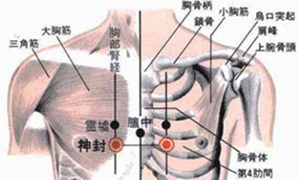 神封穴准确位置图和作用   神封穴 ki23 shén fēng   定位:在胸部