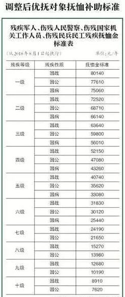 残疾人口_中国残疾人口基本状况 上(2)