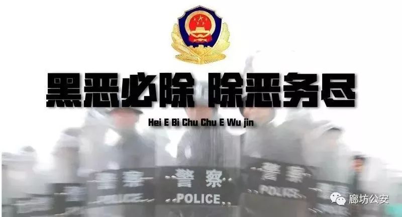 省纪委发布通报!廊坊杨玉忠"涉黑"团伙有了最新进展!