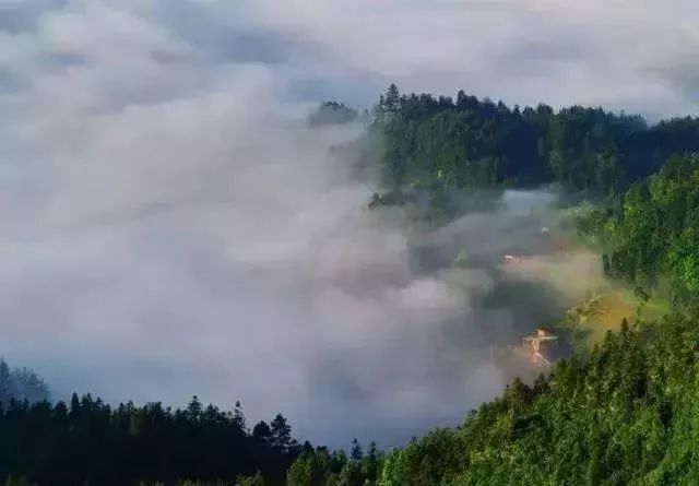 习水有多少人口_贵州习水一高速隧道因山体滑坡垮塌