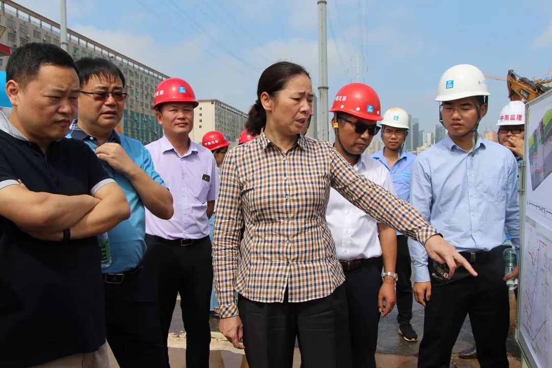 廖建华副市长组织召开专题调度会为圆满完成国家试点项目建设工作任务