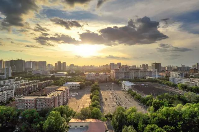 16.东北林业大学