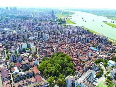 西南涌见证三水30年城市蝶变 菜地变公园城市换新颜