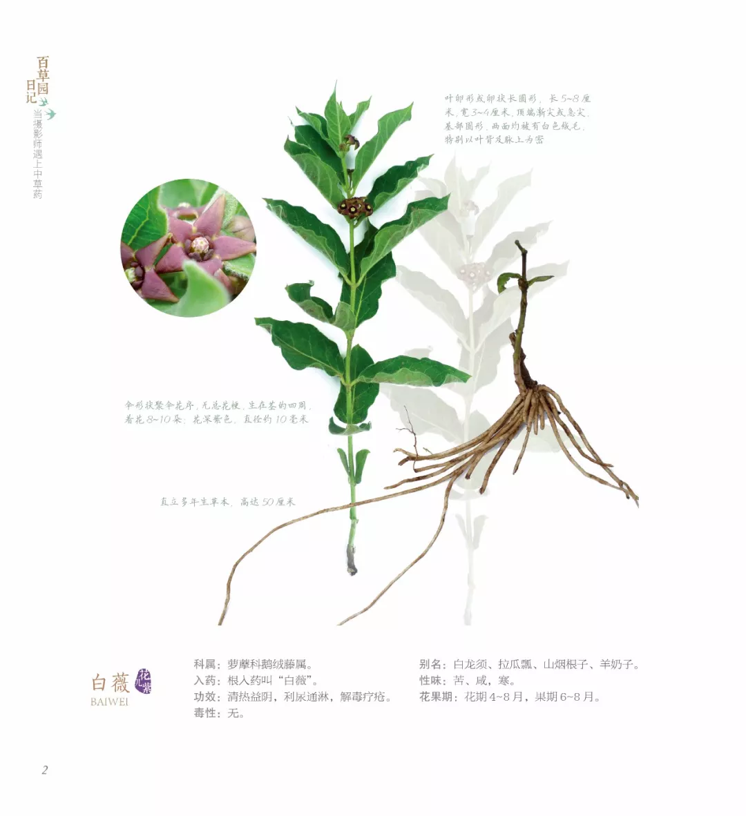 中医只坐在家里看书不认识药用植物怎么行