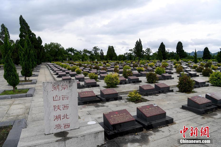 新闻 正文    7月30日,广西龙州烈士陵园内,钮本同正在打扫墓园.图片