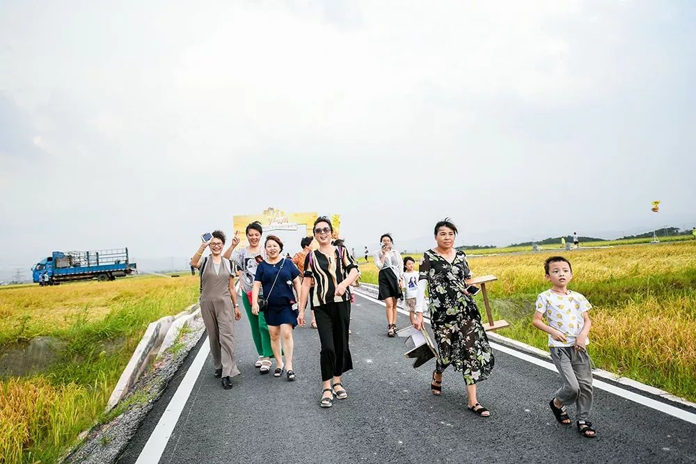 今夏最「野」的音樂節在衢州富里萬畝稻田唱響！據說錯過的人都後悔了 娛樂 第5張