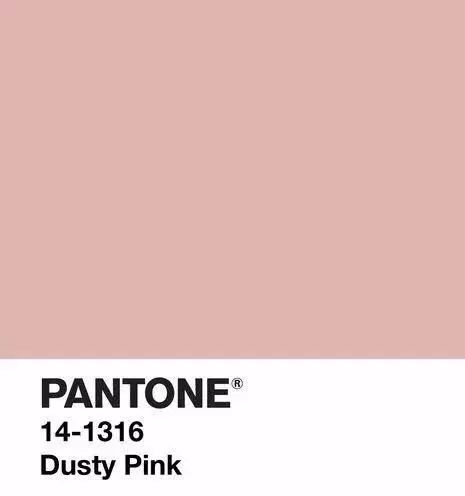 时尚 正文  脏粉(dusty pink),pantone色号14-1316,不像粉红色过于