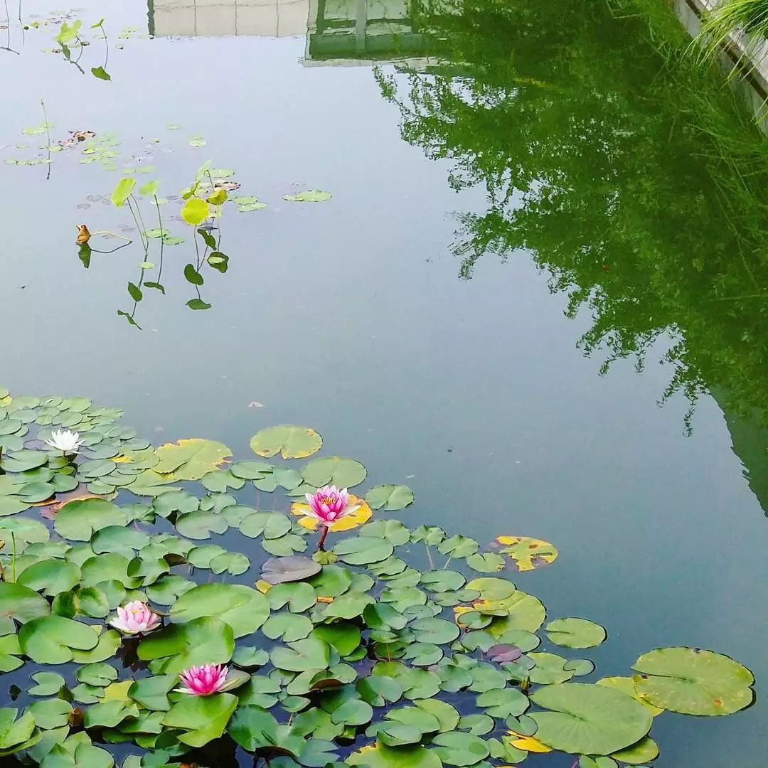 火辣辣的夏天,哪有时间伤感?