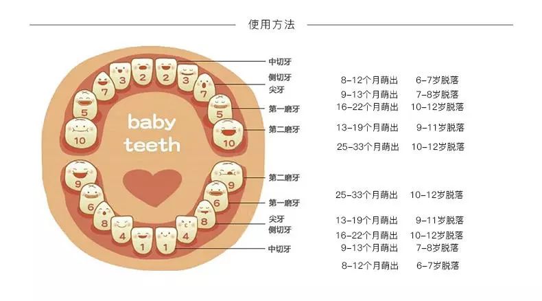 宝宝出牙的征兆,时间,顺序是怎样的?乳牙如何护理?