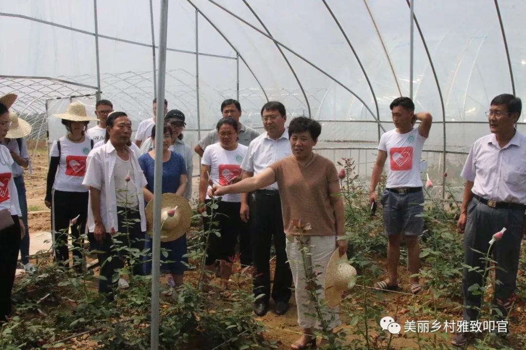 【叩官现代农业】副县长李玲带领山农大团队到叩官镇