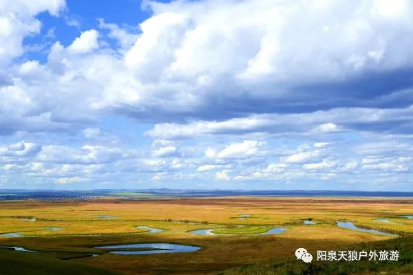 雪地野草草原格桑拉曲谱_草原格桑拉简谱(4)