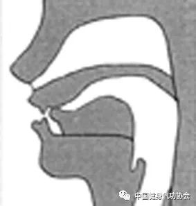 我所体悟的舌抵上腭