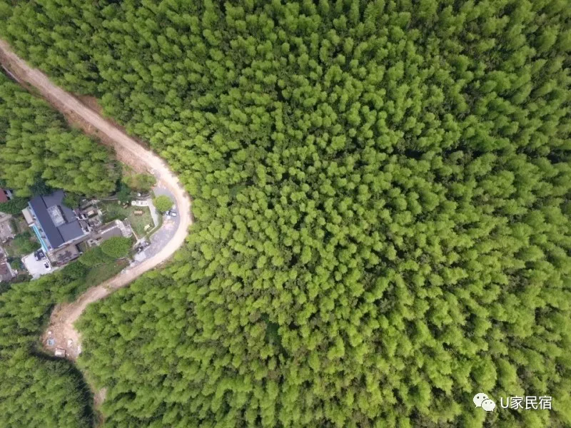 莫上隐的白墙黛瓦深藏在竹林之中,循着蜿蜒小道一路前行便能到达.