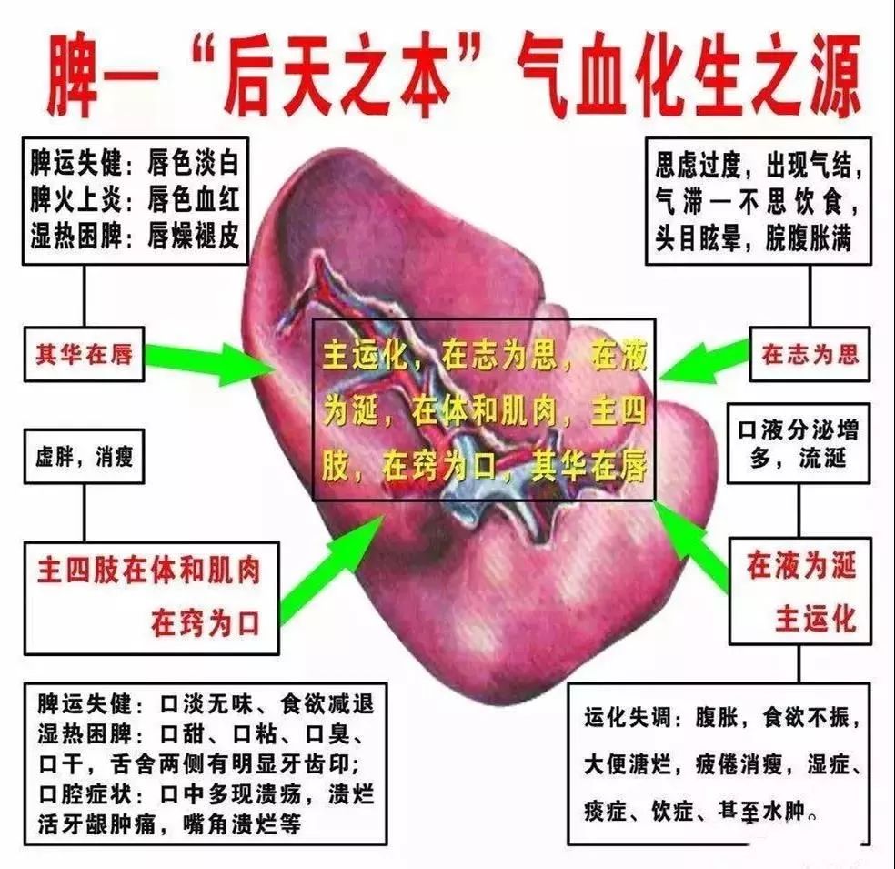 专家说:脾胃虚不虚?掐掐这里就知道