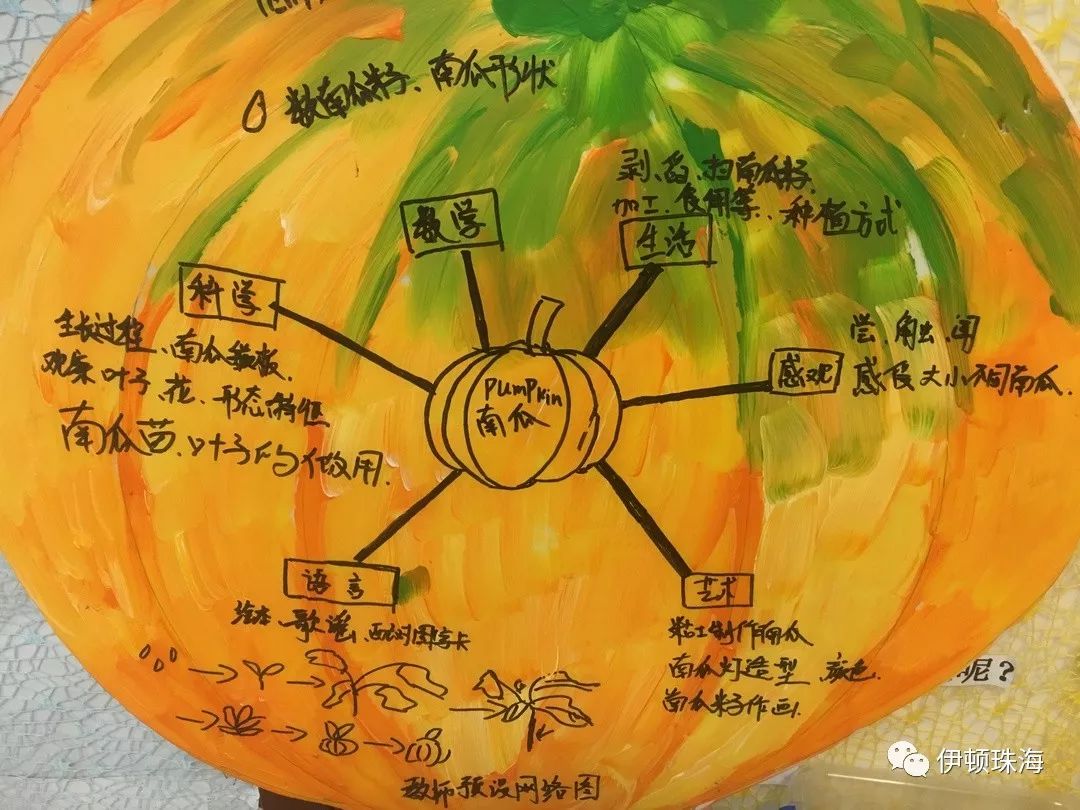 孩子们在幼儿园经常吃到各种形式的美味南瓜,也去到农科所看到了形状