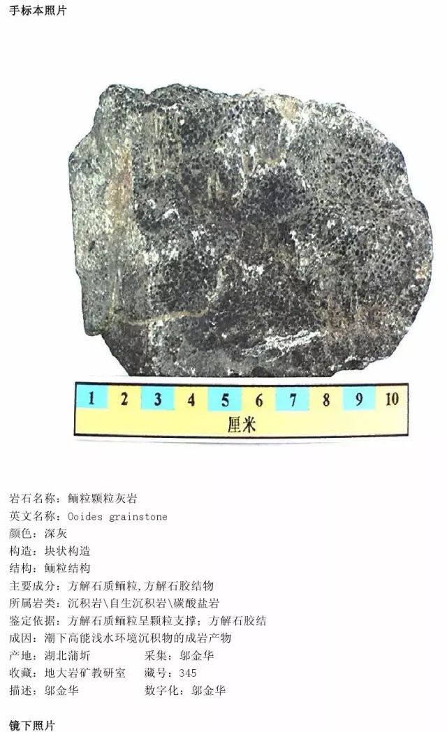 鲕粒颗粒灰岩生物碎屑颗粒灰岩1.1颗粒灰岩(9)1.