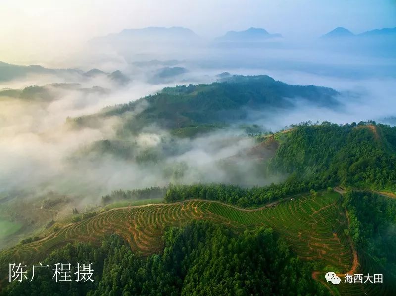 【美丽大田每日一图-茶山风云