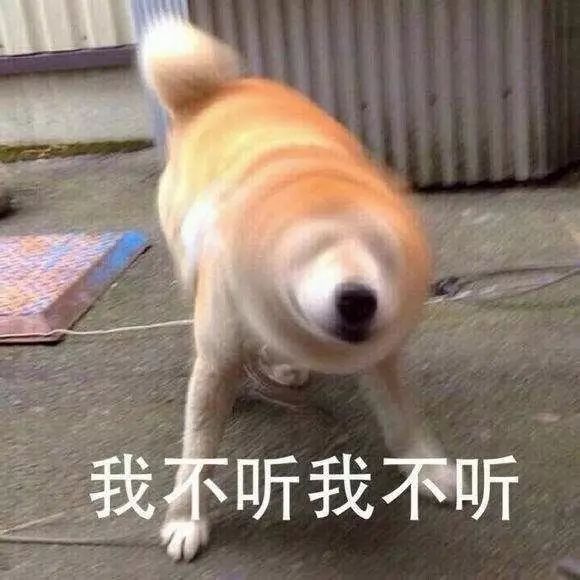 柴犬表情包:如何礼貌地拒绝别人