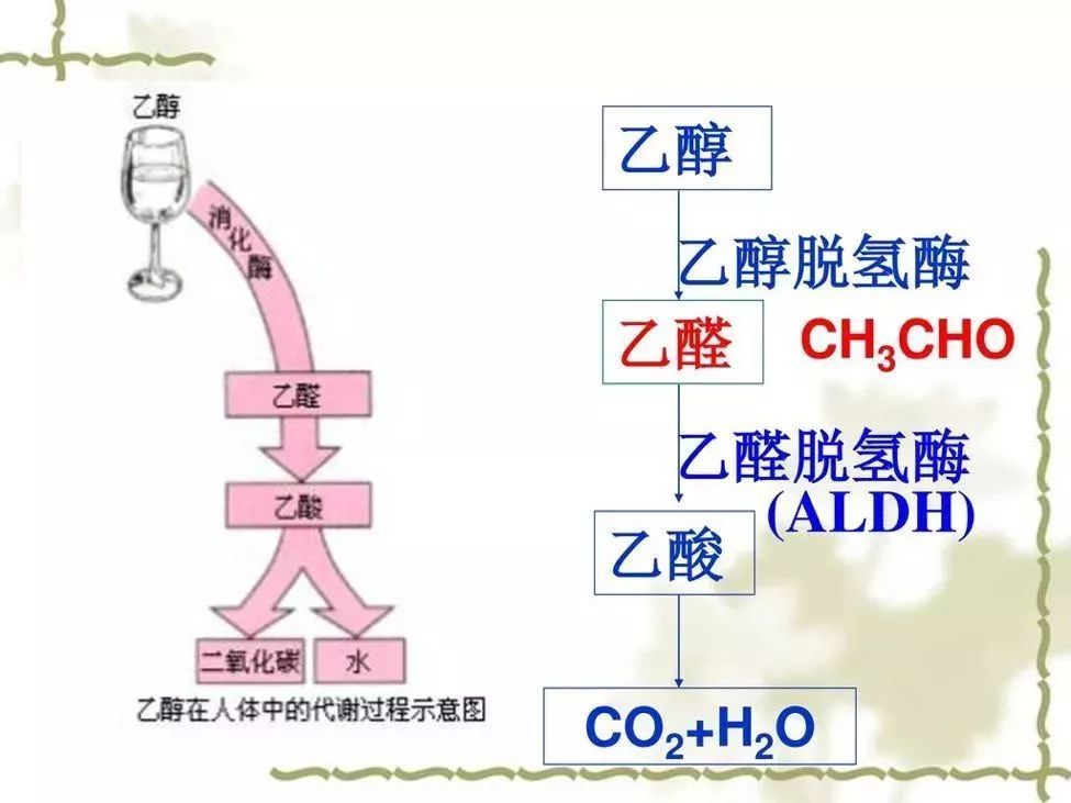 8人口概率_人口普查