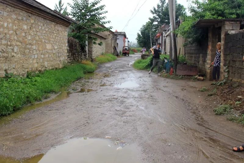 狂风暴雨过后,车辐山镇埠上村迎来了这样一群人.