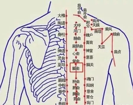 气血才是命根子, 一个小方法,全身气血畅通,告别亚健康