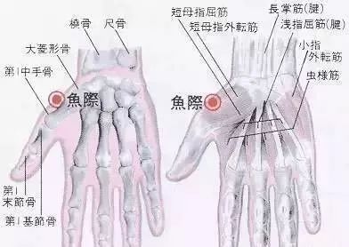 心脏不好的人,手掌有一个地方要经常按一按!