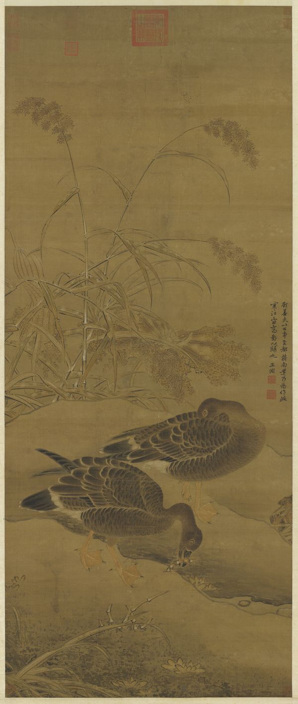 "精工妙写,清静婉约—王渊花鸟画赏析