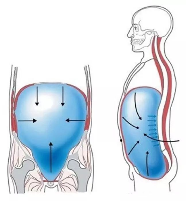 想象一下,敌人要击打你的腹部,你会本能的把腹部绷紧来抵抗击打.