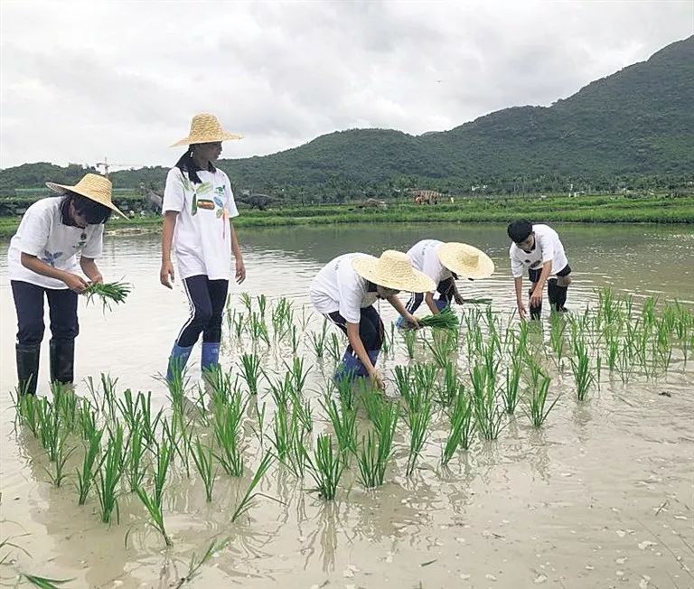 【资讯】陵水开展暑期研学旅行活动 组织学生走进大自然