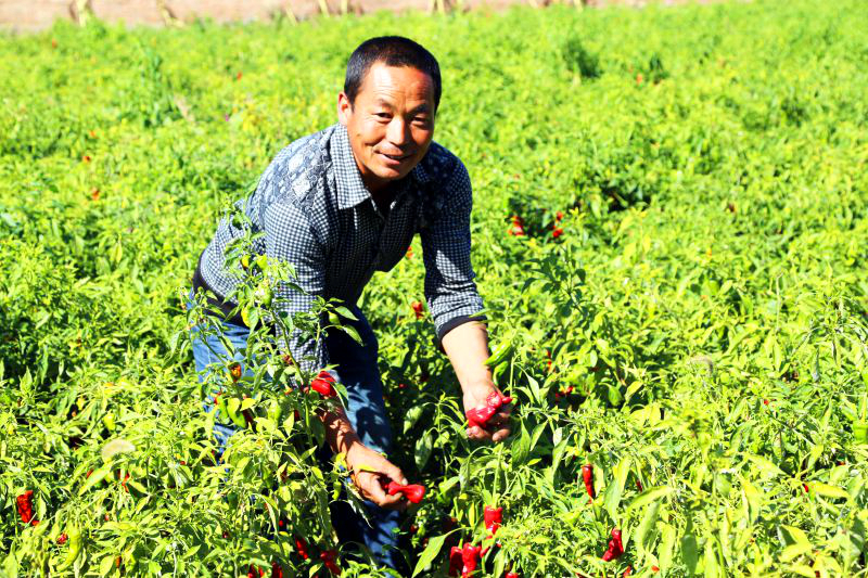 沙尔沁人口_沙尔沁图片