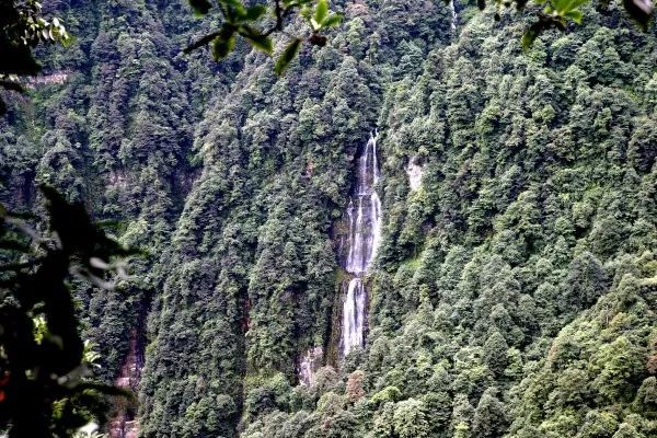 瓦屋山景区今日起恢复营业,每天限流3500