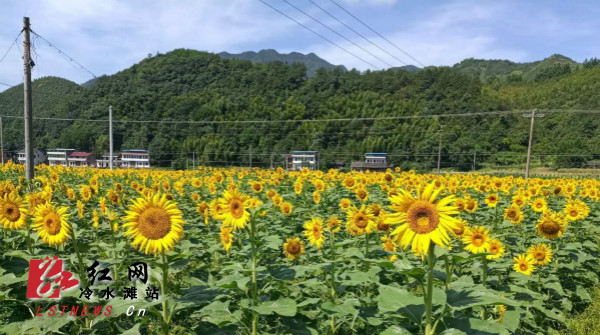 湖南冷水滩有多少人口_湖南永州冷水滩