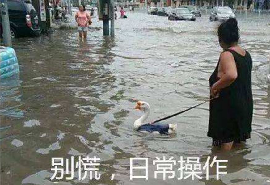 (大家还记得关于大暴雨的两三事么?)