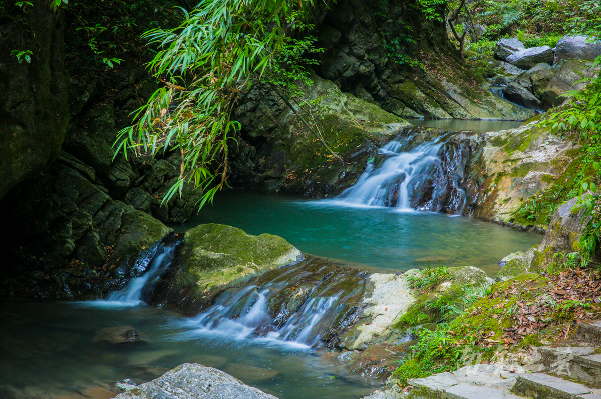 夏天的味道碧潭幽谷寻觅萤火虫沿途遭猴群收买路钱