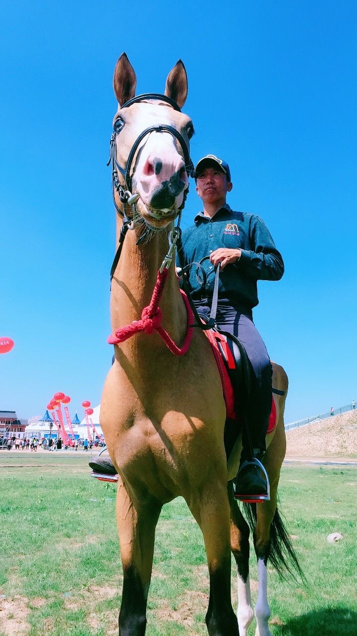 以梦为马 悦心之旅:中国马镇草原旅游度假区第一届丰宁坝上草原文化节