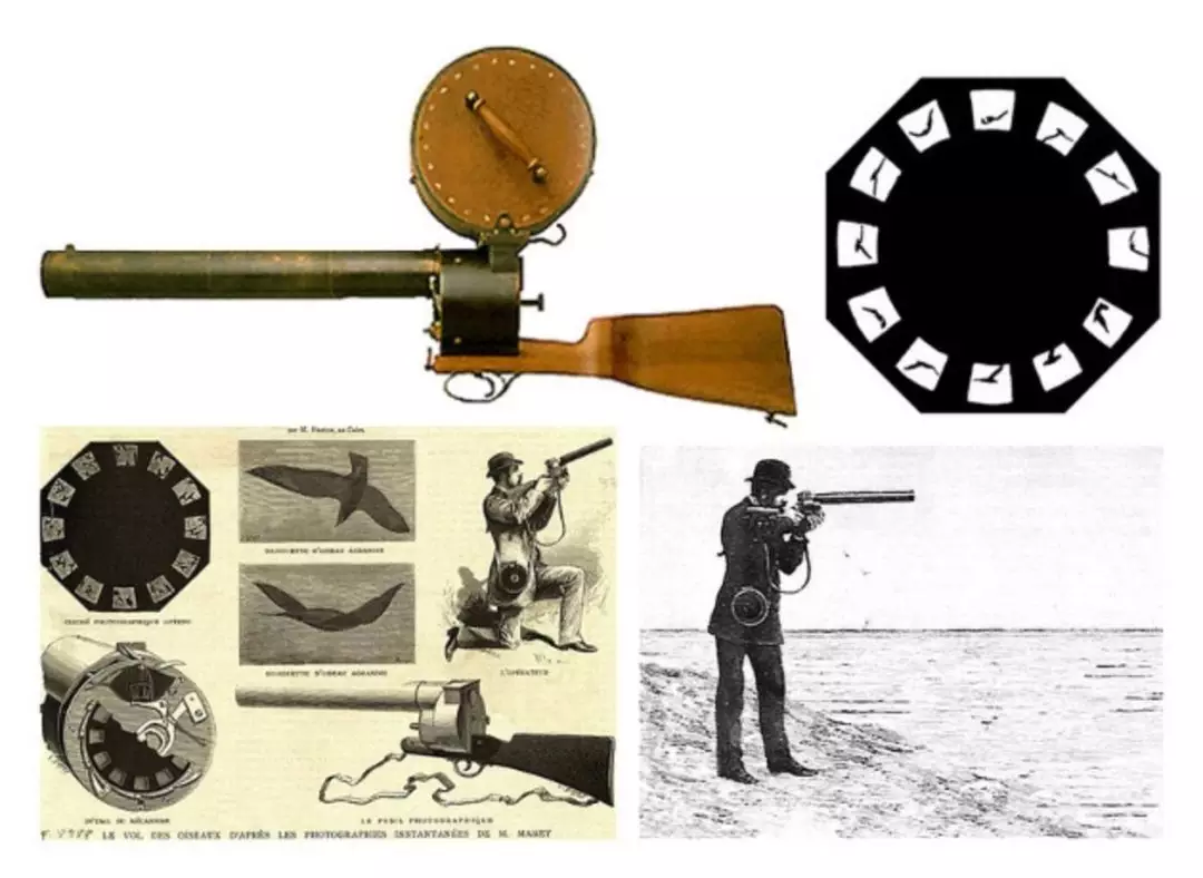 它的外形象 一把猎枪,在扳机处固定了一个像弹仓盒的大圆盘,盒内装有