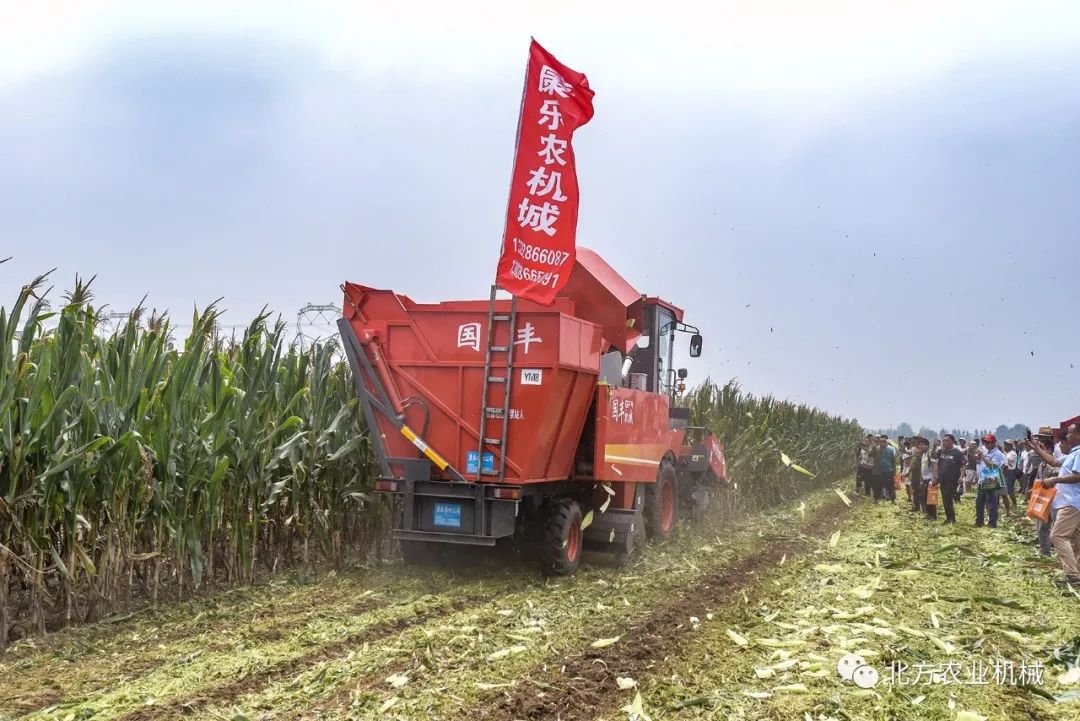 山东国丰利器出鞘国富民丰