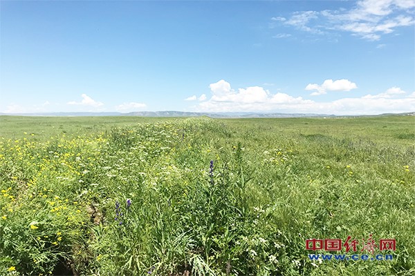 泽库县总人口_泽库县老照片