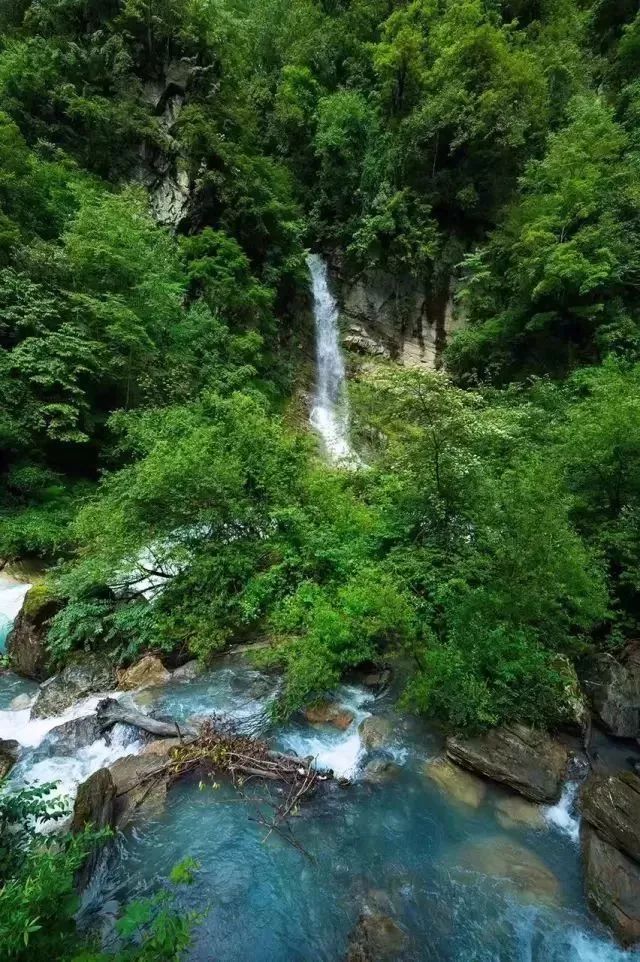 也能看 瀑布飞流,绿水苍山