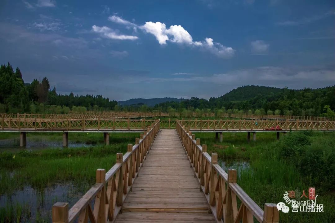 营山公路再升级!交通更完善,旅游更方便,大家来看看是