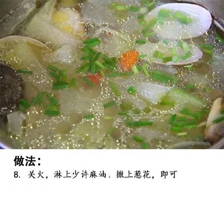 美食 花蛤冬瓜汤