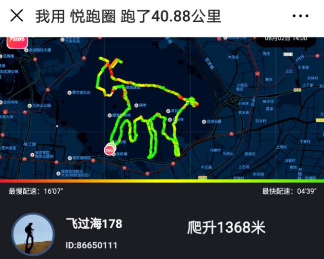你还在刷朋友圈晒跑步轨迹他都用脚步跑出一个动物园了