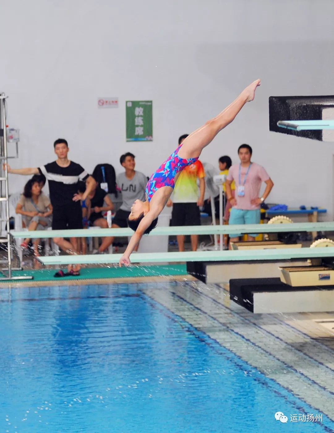 省运会跳水比赛今迎首个决赛日扬州小将摘得两枚金牌